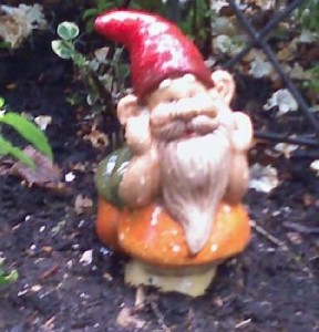 Gnome